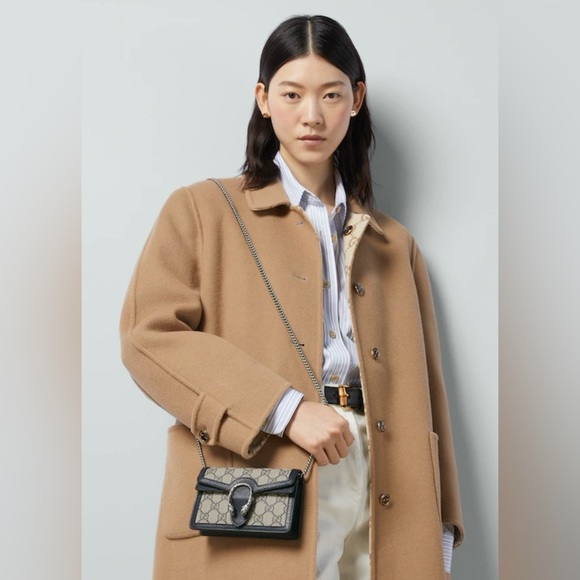 Gucci Dionysus GG Mini Bag- Authentic - Picture 12 of 12